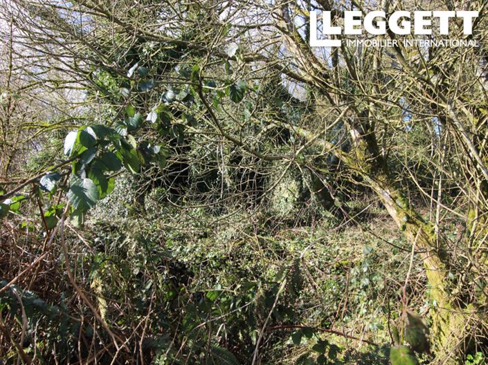 Image No.5-Maison à vendre à Maël-Pestivien