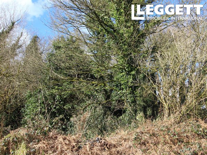 Image No.9-Maison à vendre à Maël-Pestivien