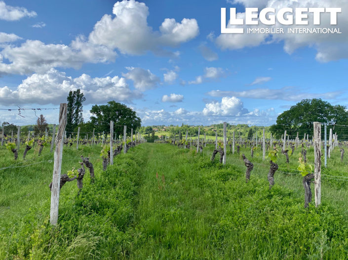 Image No.3-Maison de 10 chambres à vendre à Montazeau