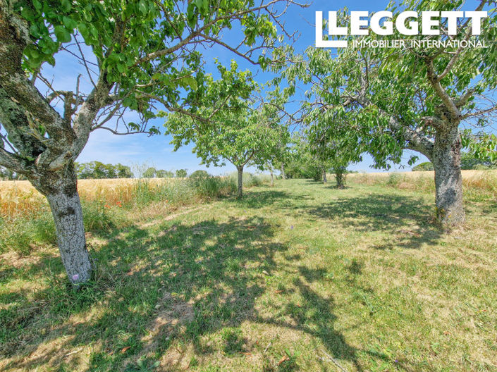 Image No.10-5 Bed House for sale