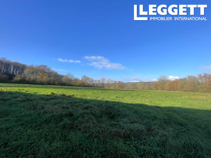 Image No.4-5 Bed House for sale