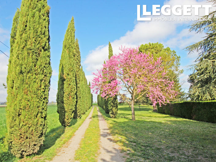 Image No.4-8 Bed House for sale