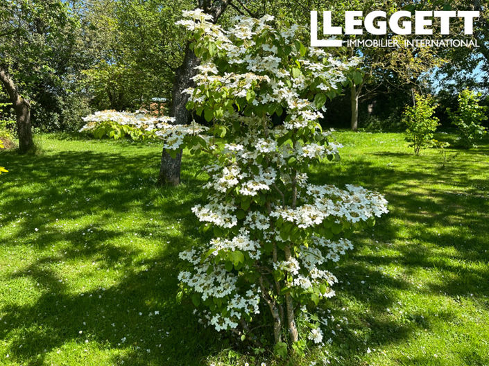 Image No.4-25 Bed House for sale