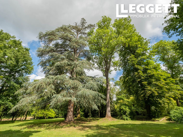 Image No.9-10 Bed House for sale