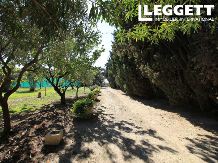 Image No.9-Maison de 5 chambres à vendre à Argeliers