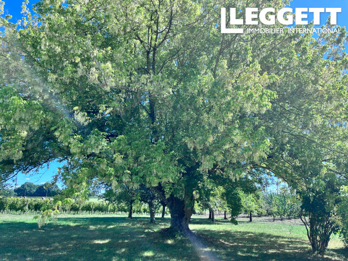 Image No.9-Maison de 3 chambres à vendre à Saint-Méard-de-Gurçon