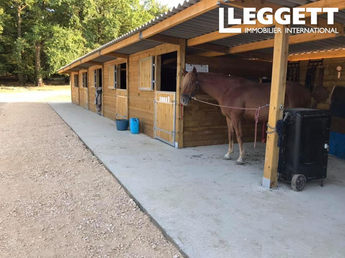 Image No.8-Maison de 4 chambres à vendre à Dordogne