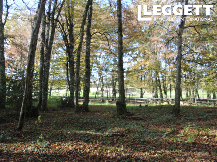 Image No.9-Maison de 4 chambres à vendre à Dordogne