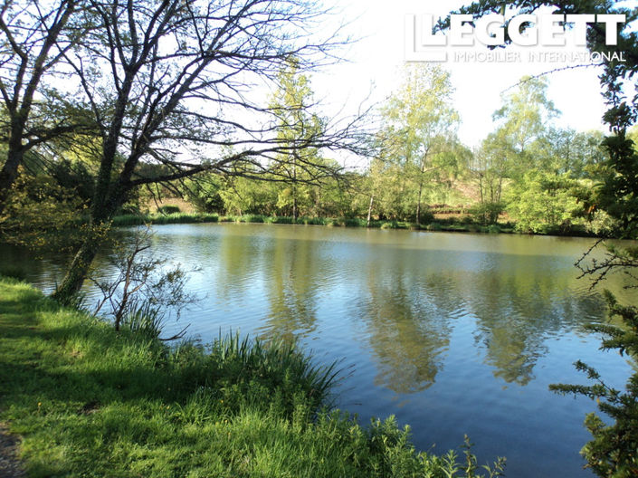 Image No.9-Terre de 3 chambres à vendre à Montaudin