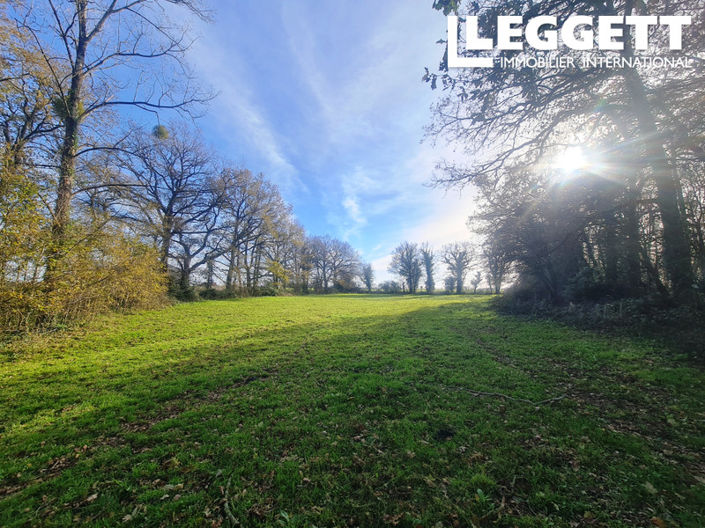Image No.10-Maison de 4 chambres à vendre à Beaufou