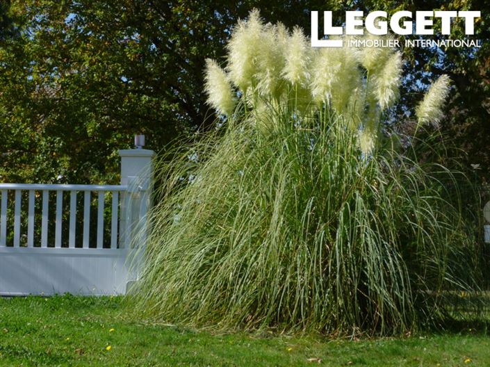 Image No.8-Maison de 4 chambres à vendre à Dordogne