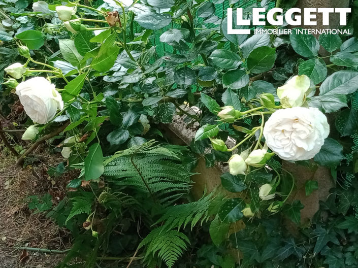 Image No.9-Maison de 2 chambres à vendre à La Chèze