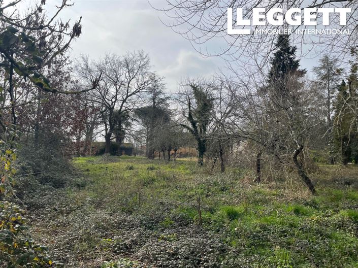 Image No.4-Terre à vendre à Masseube