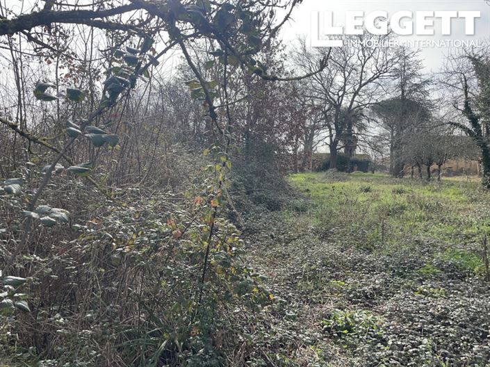 Image No.5-Terre à vendre à Masseube