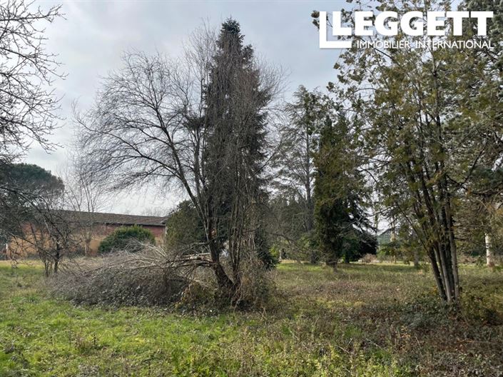 Image No.6-Terre à vendre à Masseube
