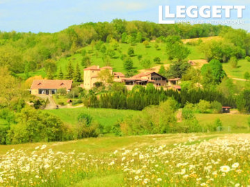 16 Bed Chateaux for sale