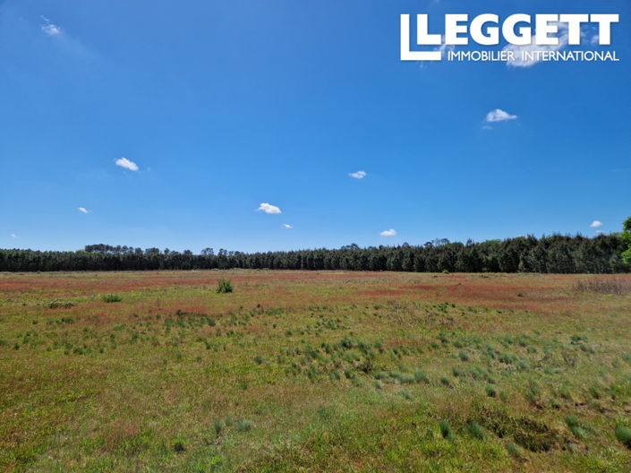 Image No.10-Maison de 8 chambres à vendre à Mont-de-Marsan