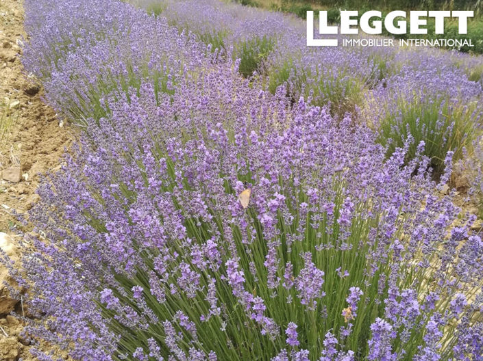 Image No.6-Land for sale