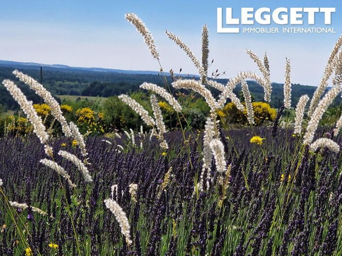 Image No.4-Land for sale