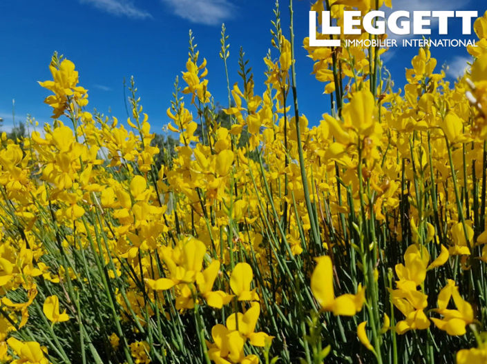 Image No.5-Land for sale