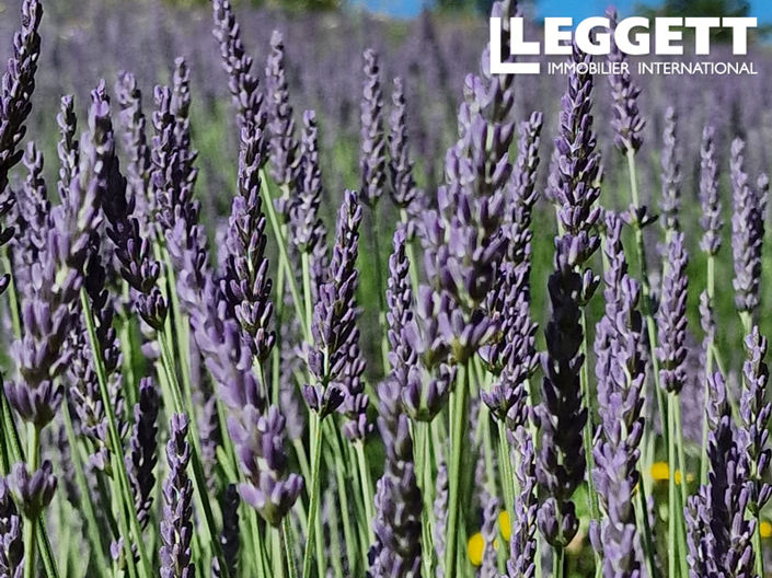 Image No.6-Land for sale