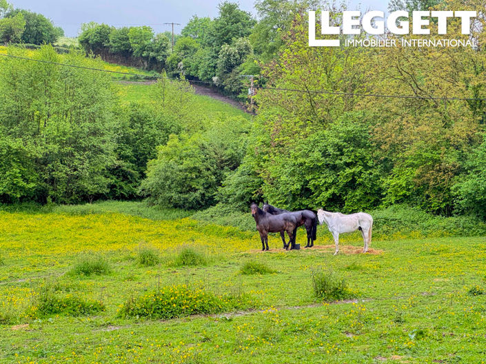 Image No.3-Maison de 5 chambres à vendre à Longmesnil