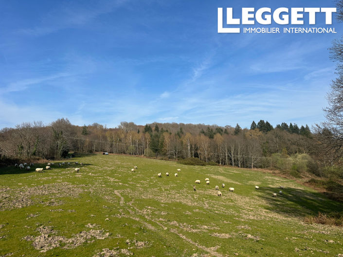 Image No.3-3 Bed House for sale