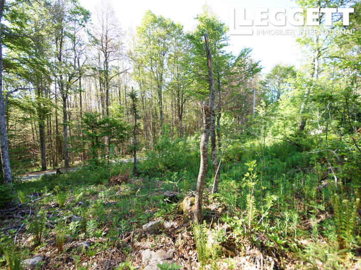 Image No.7-Terre à vendre à Les Déserts