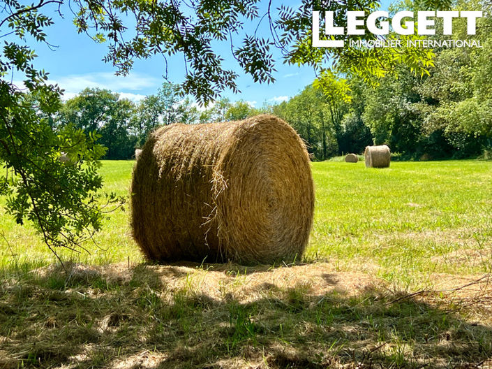 Image No.3-Maison de 3 chambres à vendre à Eymet