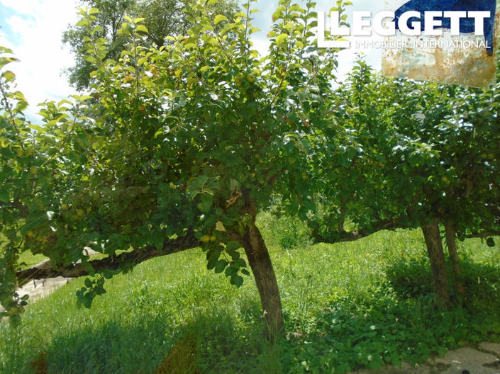 Image No.7-4 Bed House for sale