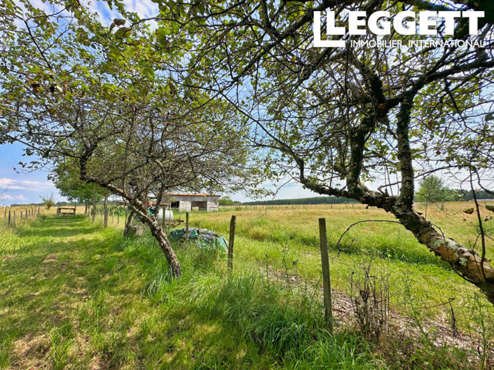 Image No.8-Maison de 4 chambres à vendre à Dordogne