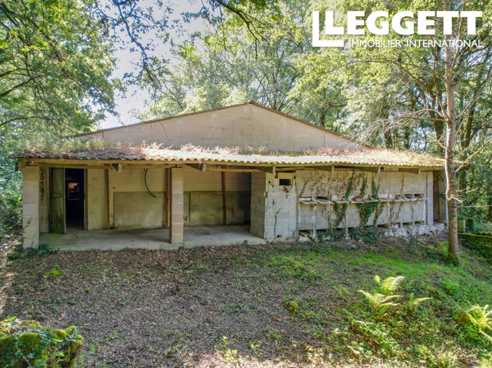 Image No.6-Bar for sale