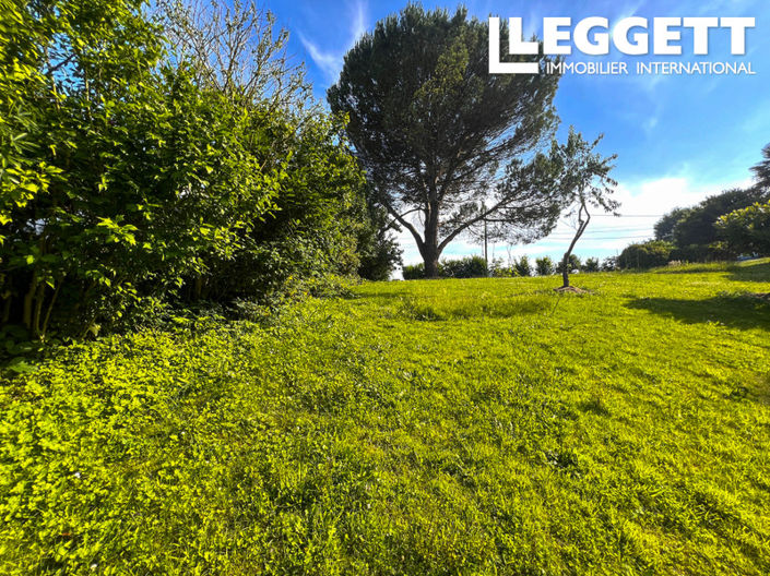 Image No.6-Terre à vendre à Saint-Martin-de-Seignanx