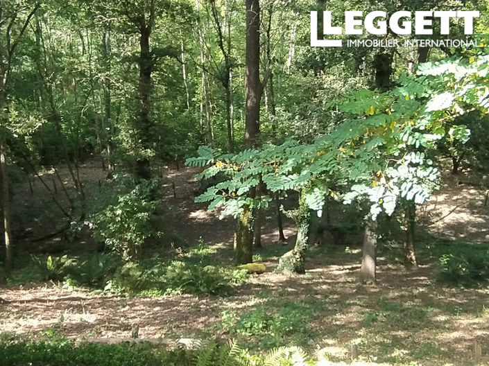 Image No.5-Maison de 7 chambres à vendre à Montpon-Menesterol