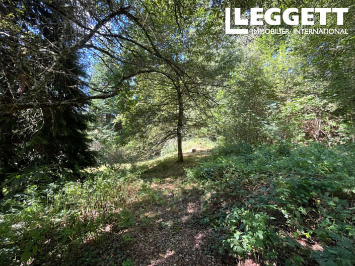 Image No.9-Maison de 3 chambres à vendre à Saint-Amand-le-Petit