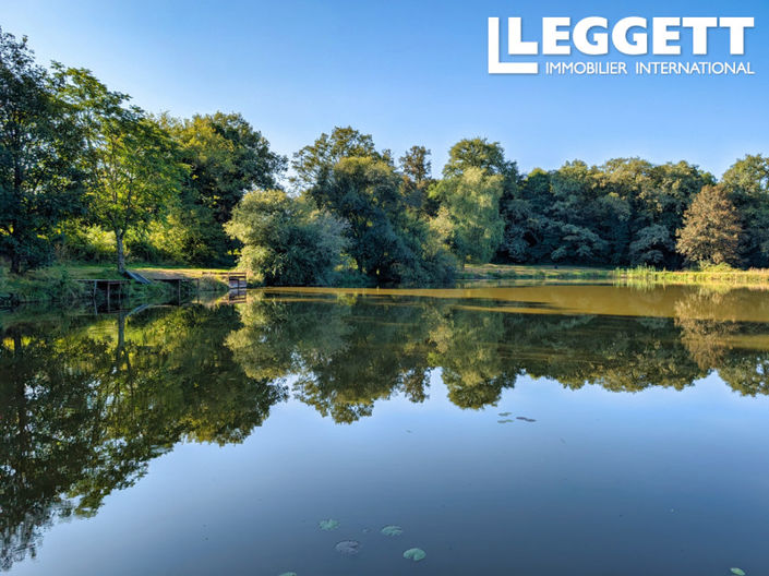 Image No.2-Terre à vendre à Saint-Pardoux-le-Lac