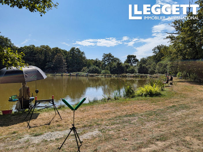 Image No.4-Terre à vendre à Saint-Pardoux-le-Lac