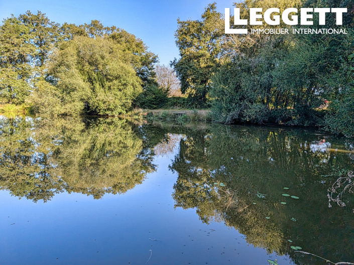 Image No.9-Terre à vendre à Saint-Pardoux-le-Lac
