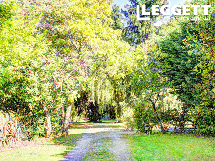 Image No.10-Commercial de 9 chambres à vendre à Pau