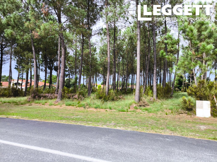 Image No.2-Terre à vendre à Biscarrosse