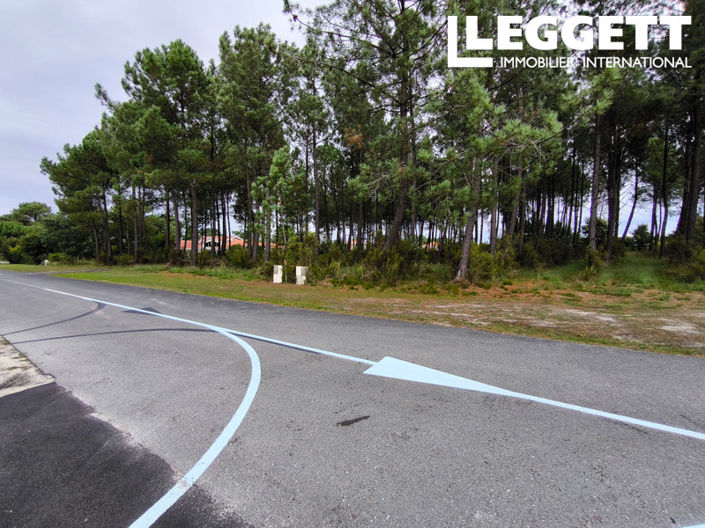 Image No.3-Terre à vendre à Biscarrosse