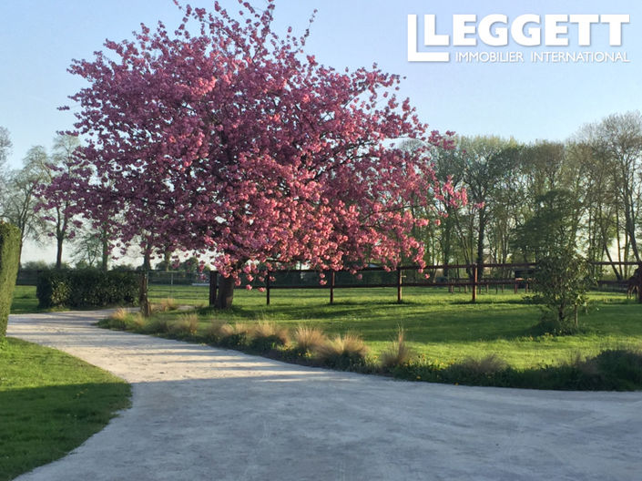 Image No.7-Maison de 14 chambres à vendre à Argentan