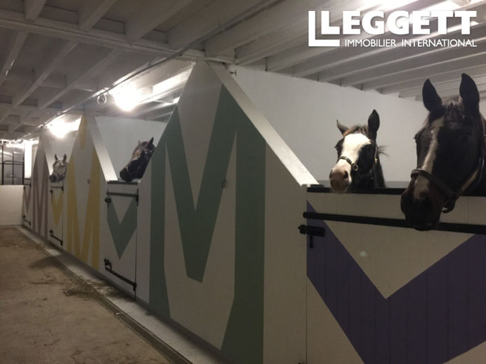 Image No.8-Maison de 14 chambres à vendre à Argentan