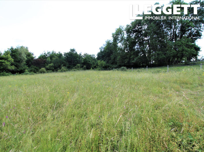Image No.3-Terre à vendre à Saint-Germain-du-Salembre