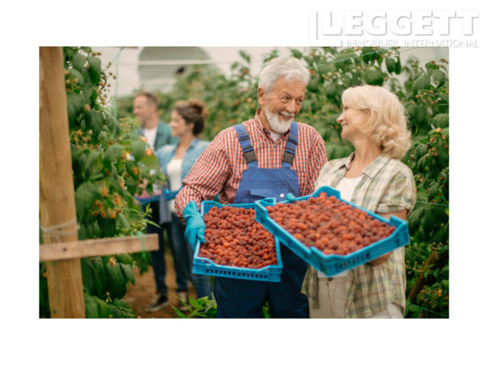 Image No.5-1 Bed Apartment for sale