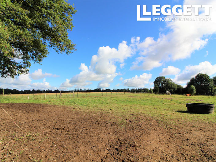 Image No.9-Terre à vendre à Les Salles-Lavauguyon