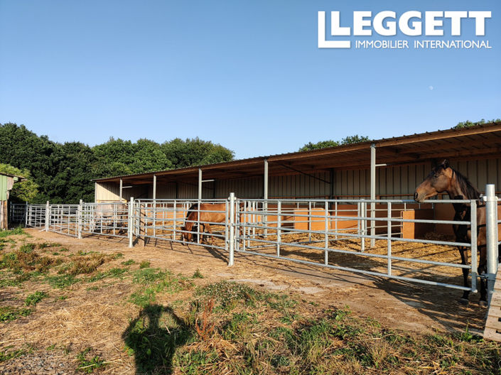 Image No.3-4 Bed House for sale