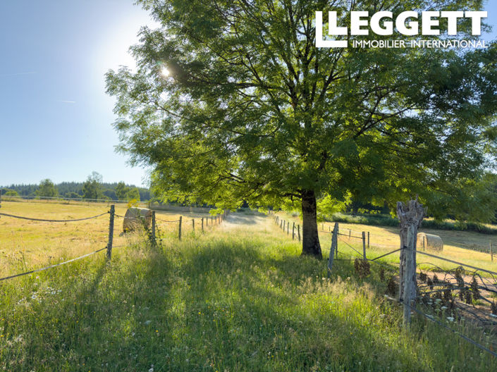 Image No.8-5 Bed House for sale