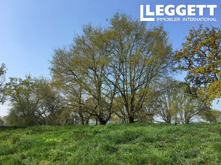 Image No.8-Land for sale