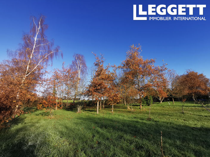 Image No.4-Maison de 4 chambres à vendre à La Gacilly